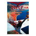 Meeting D' Aviation in Nice, France Poster