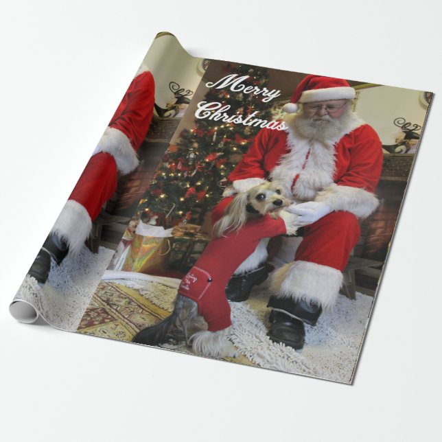 Meeting Santa Wrapping Paper (Unrolled)