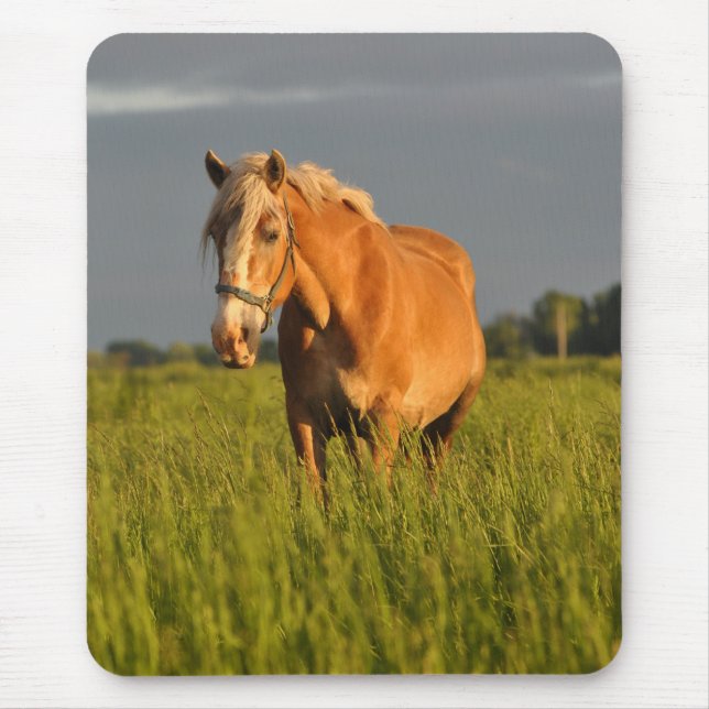 Meg in the Pasture Mouse Pad (Front)