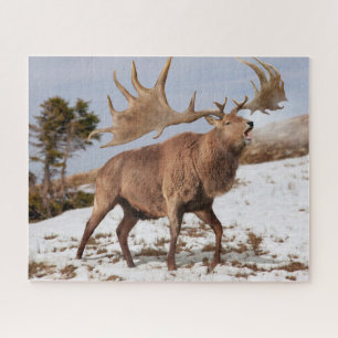 Megaloceros (giant Irish elk) in snow puzzle