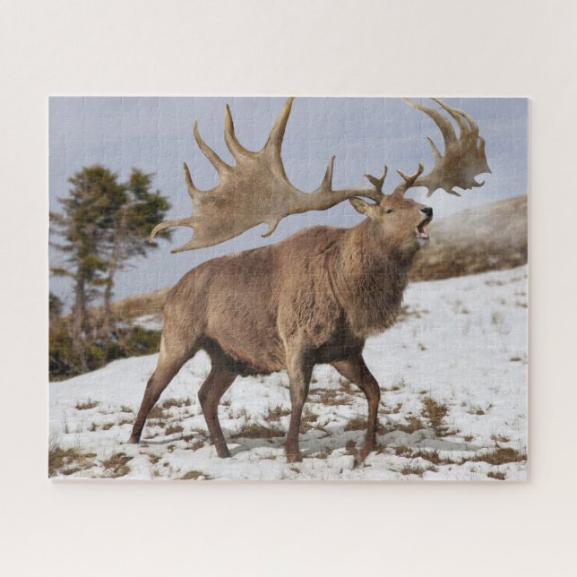 Megaloceros (giant Irish elk) in snow puzzle (Horizontal)