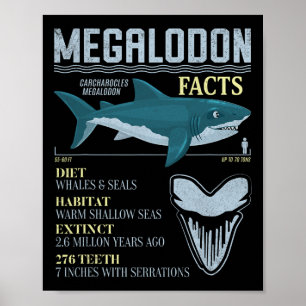 Megalodon Facts Meg Prehistoric Shark Tooth Fossil Poster