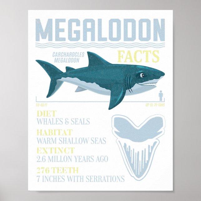 Megalodon Facts Meg Prehistoric Shark Tooth Fossil Poster (Front)