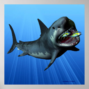 Megalodon Print