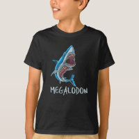 Megalodon Shark - Prehistoric Ocean Creature