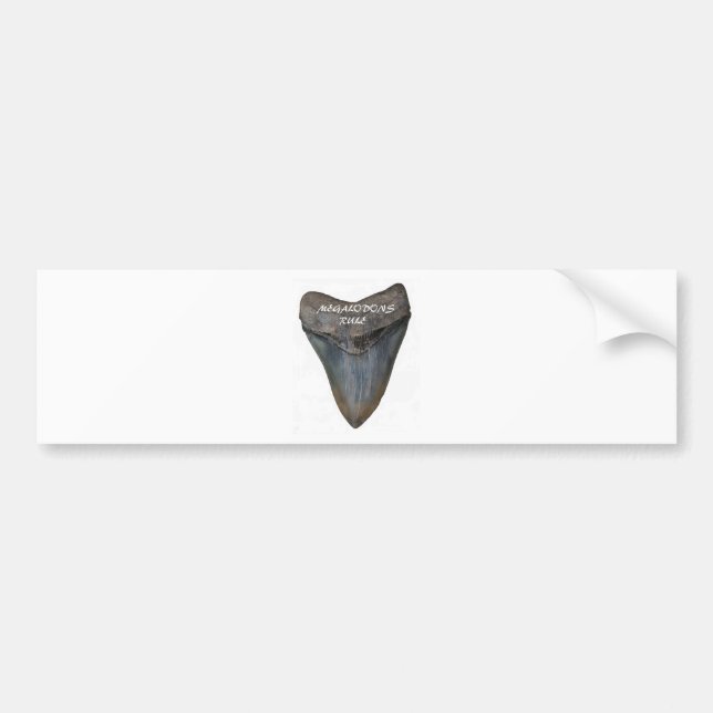 Megalodon Shark Tooth Bumper Sticker (Front)