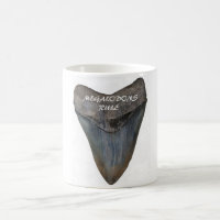 Megalodon Shark Tooth