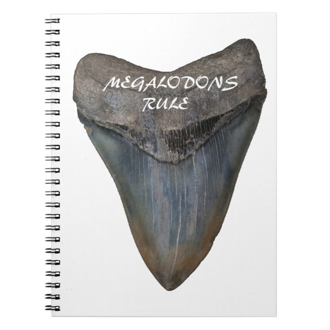 Megalodon Shark Tooth Notebook (Front)