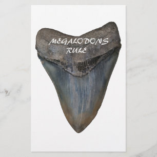 Megalodon Shark Tooth Stationery