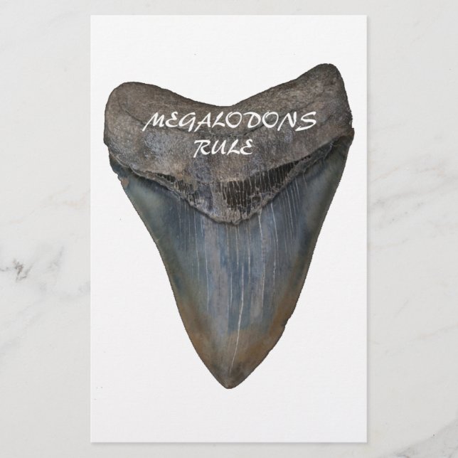 Megalodon Shark Tooth Stationery (Front)