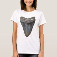 Megalodon Shark Tooth