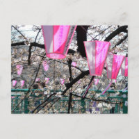 Meguro River Cherry Blossom Festival