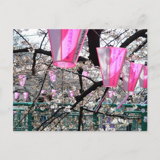 Meguro River Cherry Blossom Festival Postcard (Front)