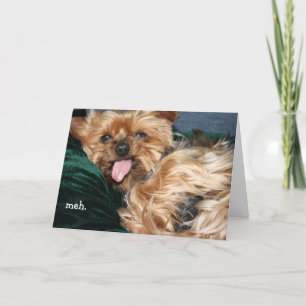 "meh - doan wanna" Greeting Card