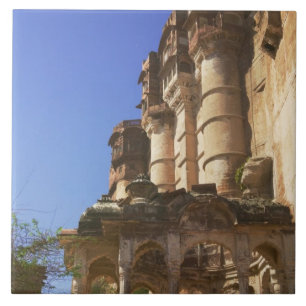 Meherangarh, the Majestic Fort, Jodhpur, Tile