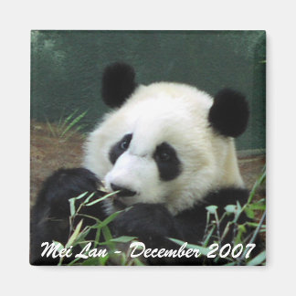 Mei Lan Magnet