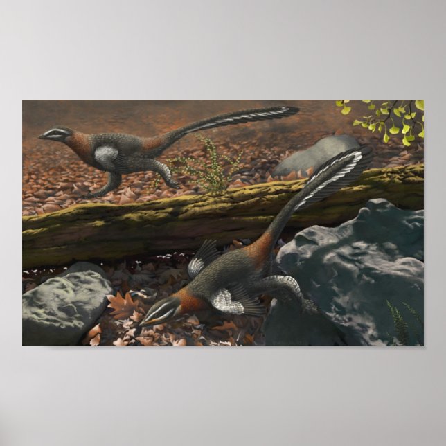 Mei Long Print (Front)