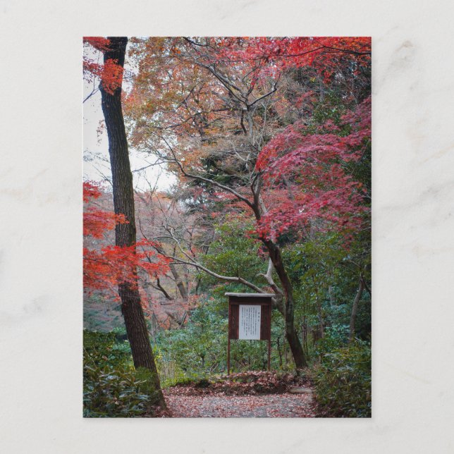 Meiji-Jingu Shrine Inner Garden Postcard (Front)