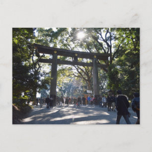 Meiji Shrine: Tokyo Postcard
