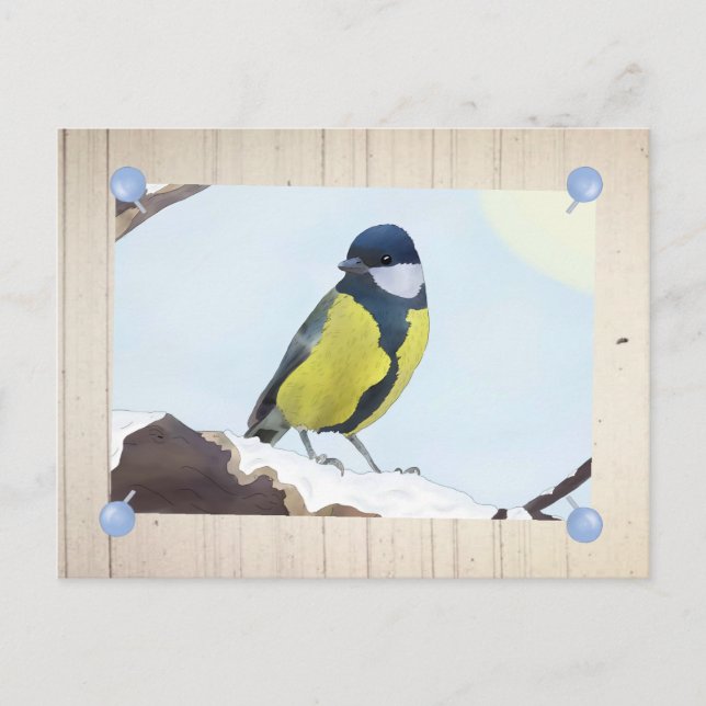 Meise im Winter Postcard (Front)