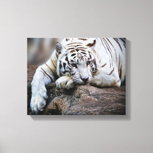 Melancholy Canvas Print