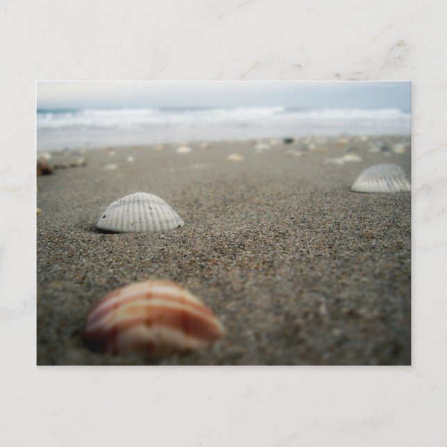 Melbourne beach, Florida Postcard (Front)