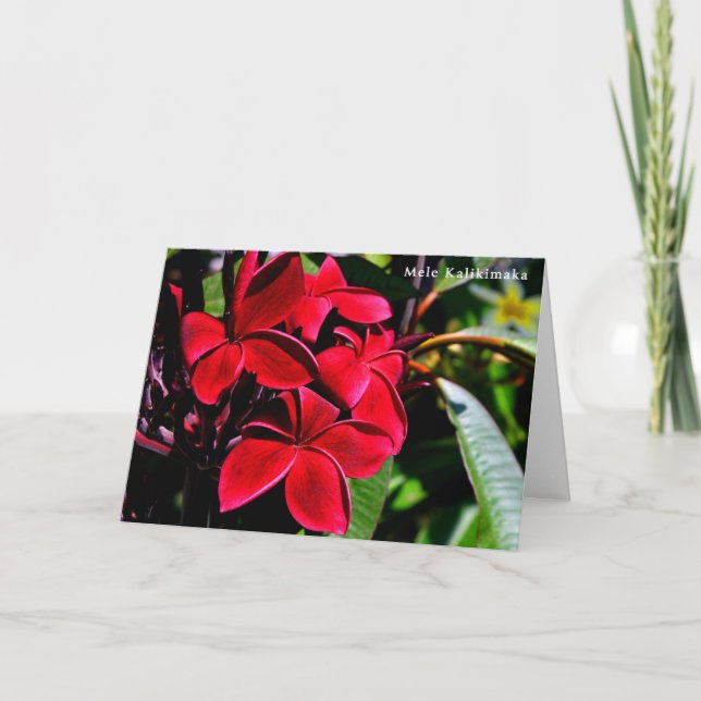 Mele Kalikimaka Plumeria Holiday Card (Front)