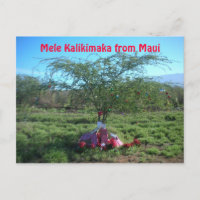 Mele Kalikimaka the Island Way