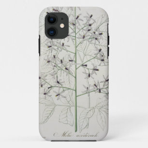 Melia Azedarach from 'Phytographie Medicale' by Jo Case-Mate iPhone Case