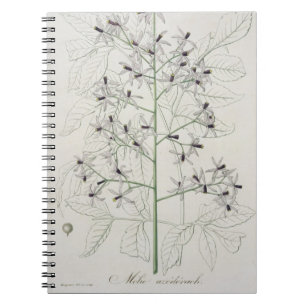 Melia Azedarach from 'Phytographie Medicale' by Jo Spiral Notebook