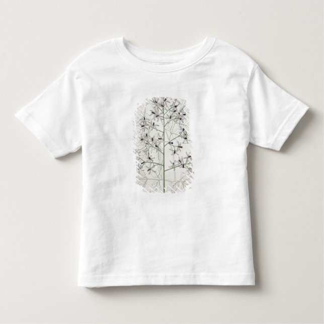 Melia Azedarach from 'Phytographie Medicale' by Jo Toddler T-Shirt (Front)