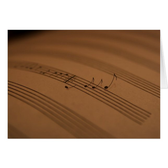 Melody (Front Horizontal)