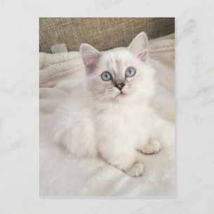 Melody Postcard