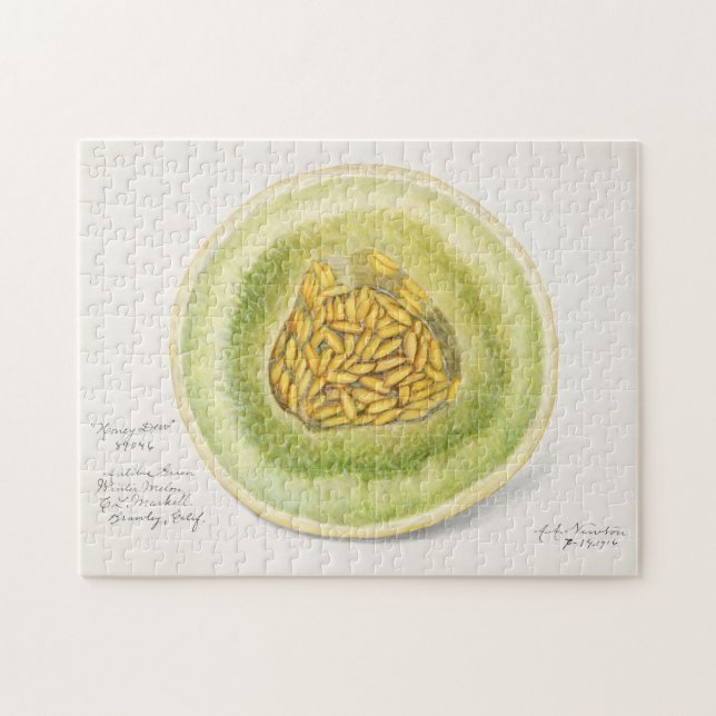 Melon (Cucumis Melo) Fruit Watercolor Painting Jigsaw Puzzle (Horizontal)