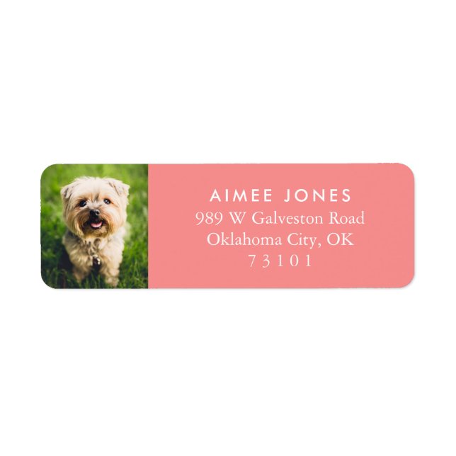 Melon Your Pet's Photo Custom Return Address Label (Front)