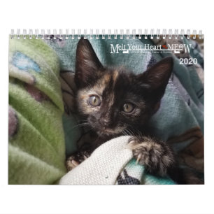 Melt Your Heart - MEOW 2020 Kitten Calendar