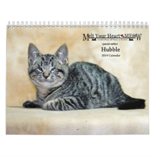 Melt Your Heart Meow Hubble 2019 Calendar
