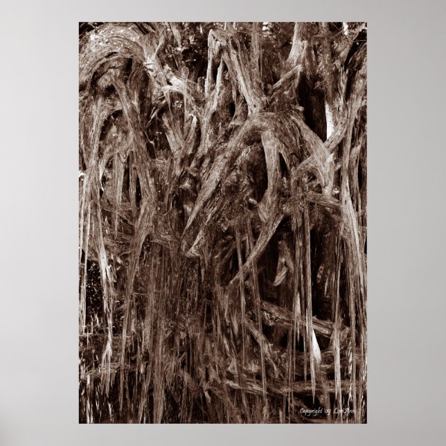 Melting Wood Poster (Front)