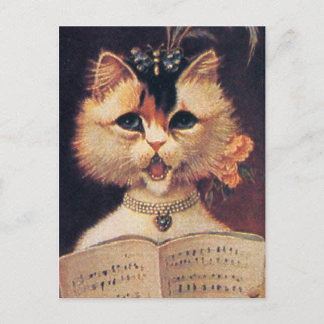 Member of the Choir Postcard (Front)