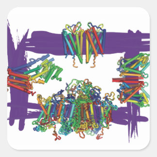 Membrane Proteins Through A Box Stickers