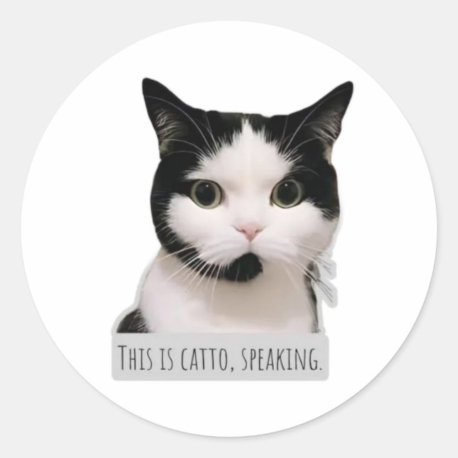 meme cat classic round sticker (Front)