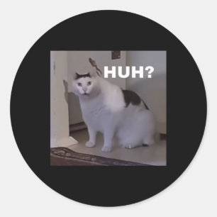 Meme Huh Cat  Classic Round Sticker