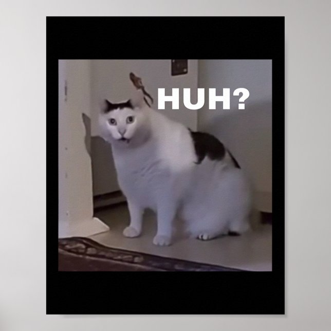 Meme Huh Cat  Poster (Front)