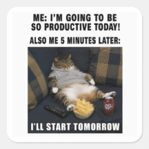 Meme Sticker