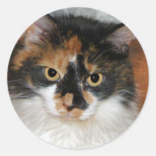 MeMeow Classic Round Sticker