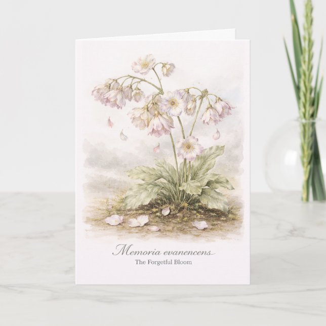 Memoria Evanescens – The Forgetful Bloom Botanical Card (Front)