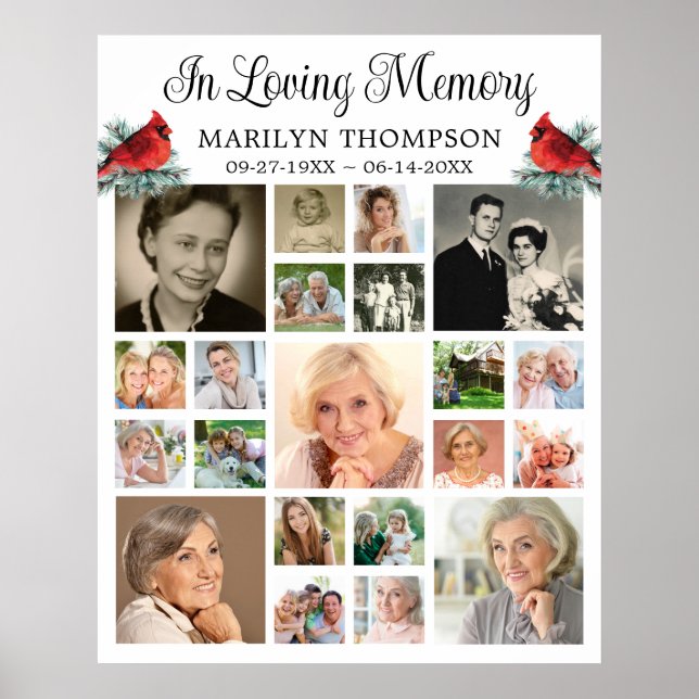 Memorial Cardinal Pine 21 Photo Collage Poster (Front)