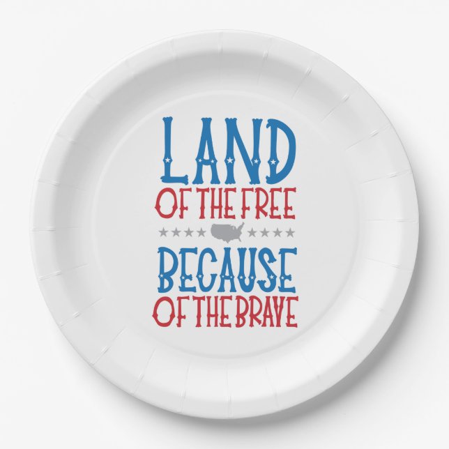Memorial Day Veteran's Day Patriotic  Paper Plate (Front)