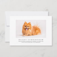 Memorial Funeral For Pet | Elegant Modern Photo