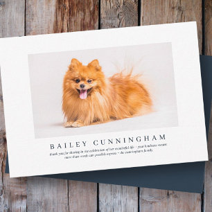 Memorial Funeral For Pet   Elegant Modern Photo Thank You Card